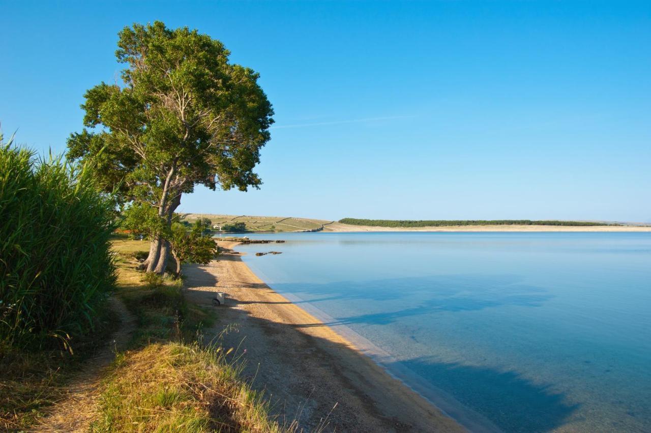 Family Friendly Apartments With A Swimming Pool Povljana, Pag - 244 Kültér fotó